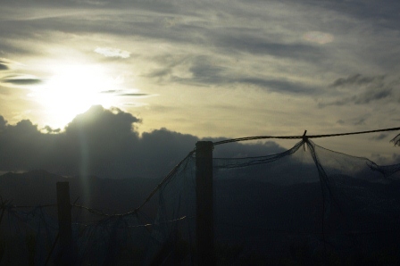 f0215475_23523034.jpg