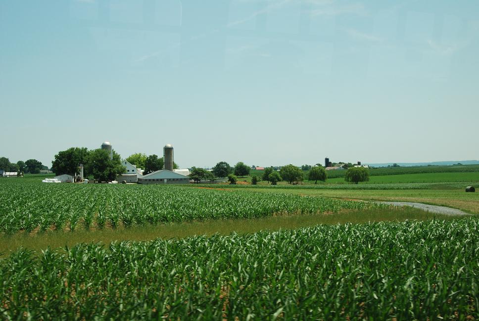 b0194576_10434155.jpg