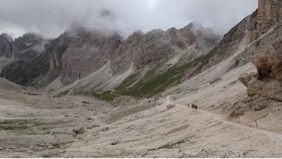 e0024081_12301785.jpg