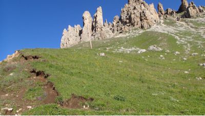 e0024081_12302580.jpg