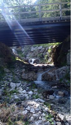 e0024081_5422337.jpg