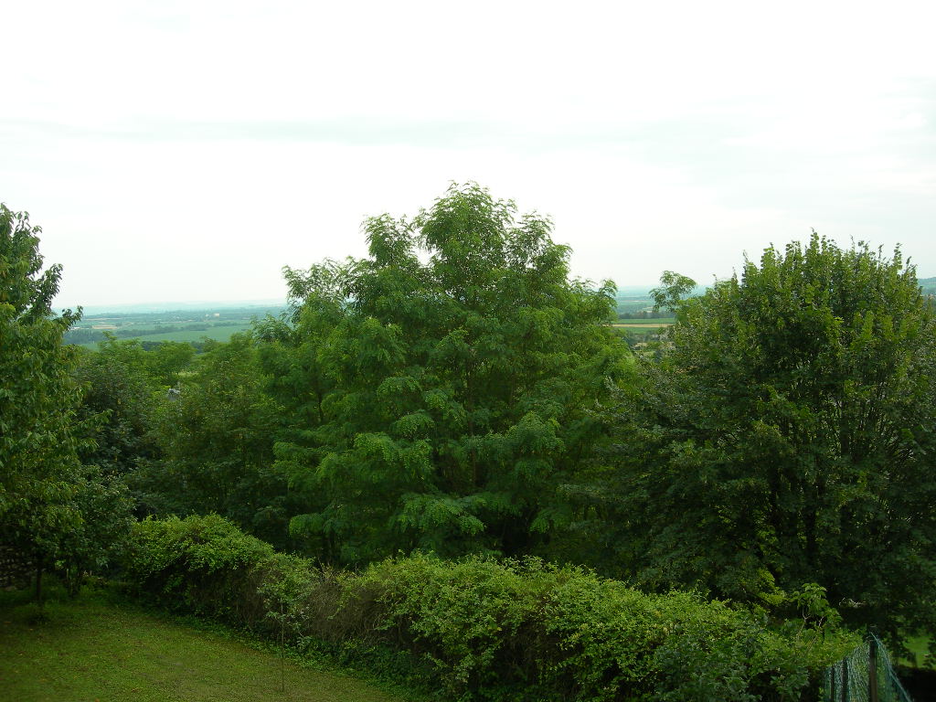a0080183_2324326.jpg