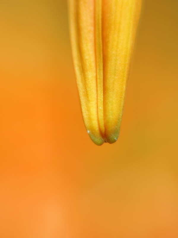 b0138101_22561822.jpg