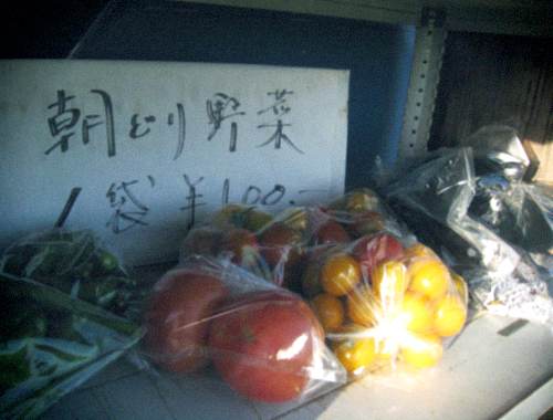 d0077603_5232755.jpg