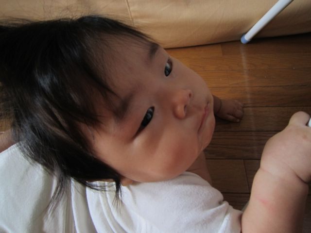 f0159406_1937296.jpg
