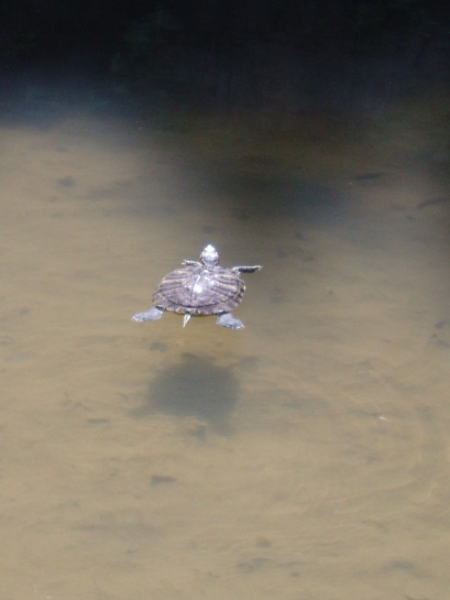 e0035711_22222539.jpg