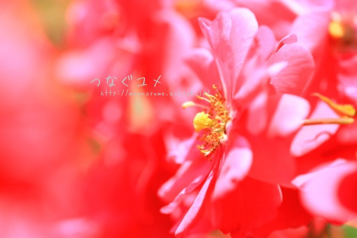 d0258417_2313131.jpg