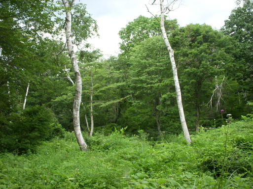 e0109622_1953383.jpg