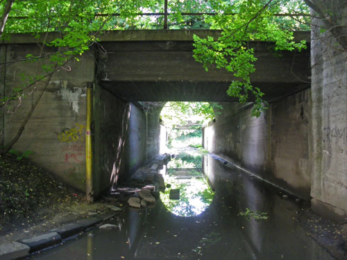 c0184125_1392414.jpg