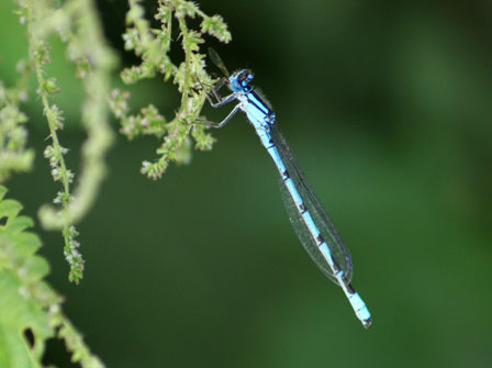 c0184125_140875.jpg