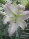 b0268228_208552.jpg