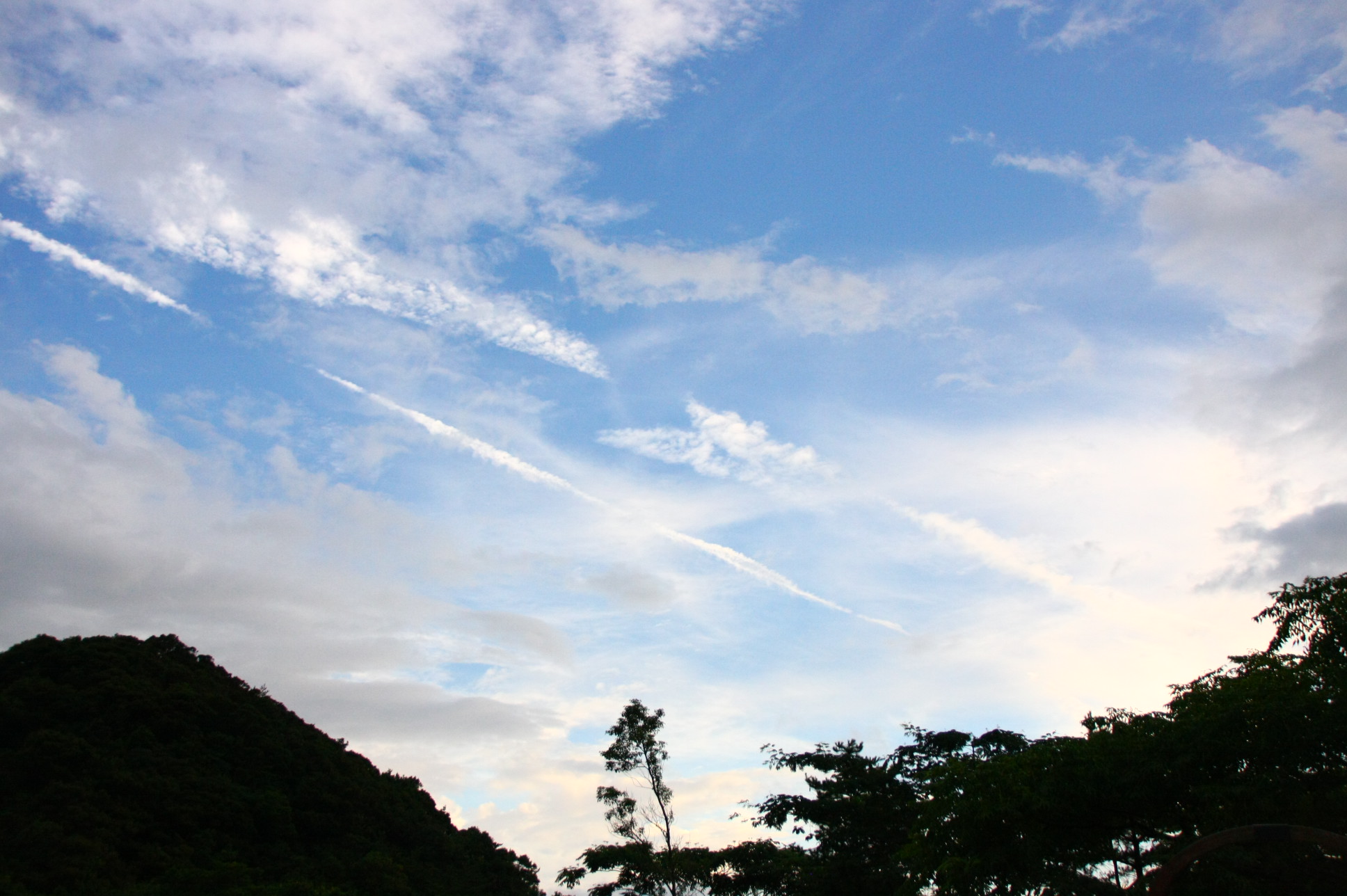 d0158028_10223100.jpg