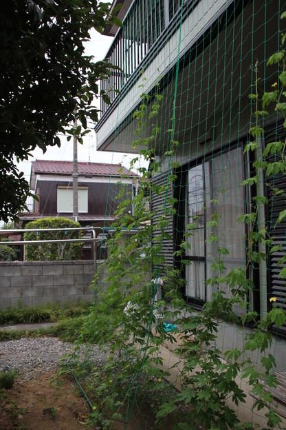 e0166032_2152715.jpg