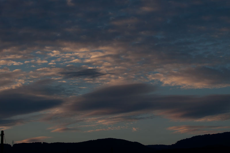 b0177233_4525239.jpg