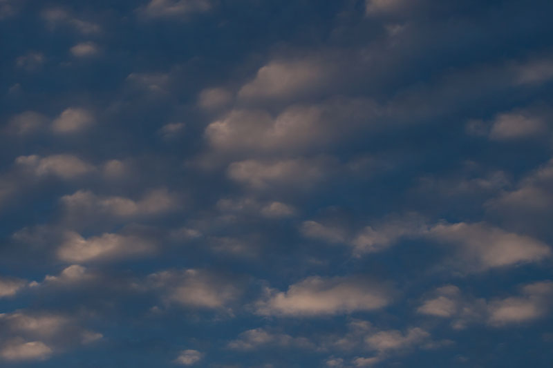 b0177233_4531323.jpg