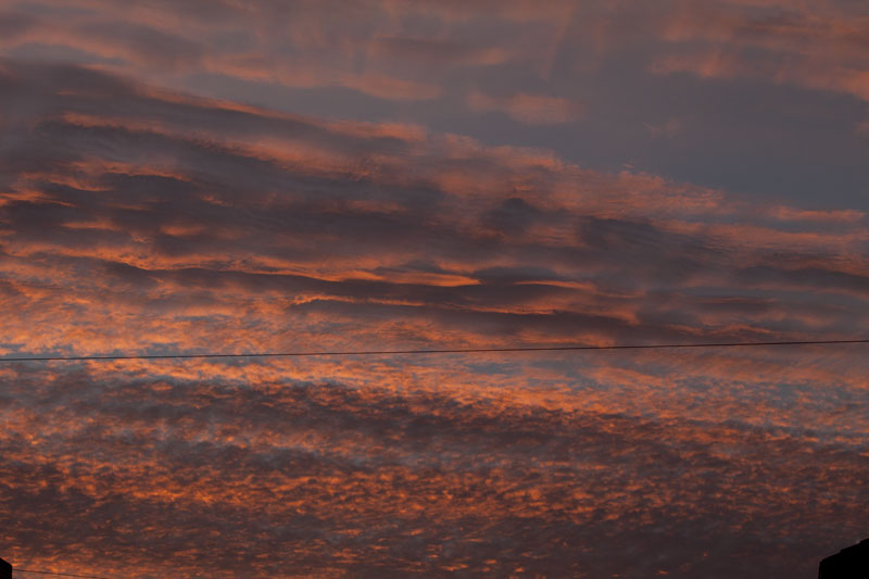b0177233_51574.jpg