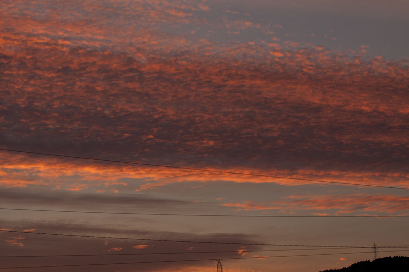 b0177233_51741.jpg