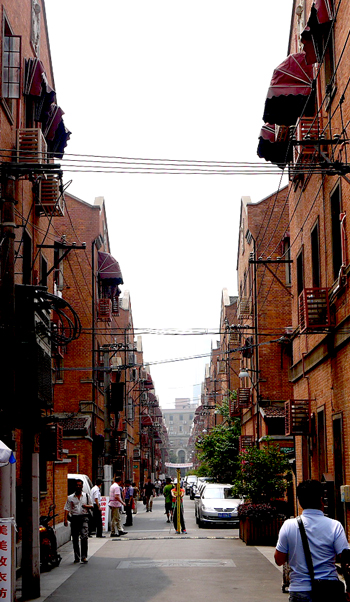 b0035734_15574174.jpg