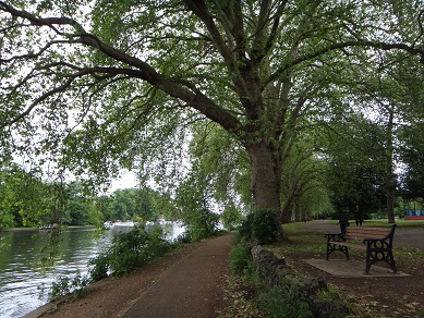 e0238838_1013281.jpg