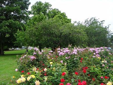 e0238838_10174476.jpg