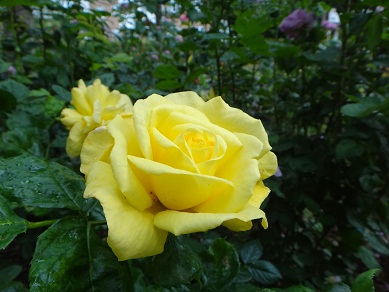 e0238838_10184032.jpg