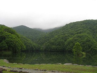 f0065341_13341633.jpg
