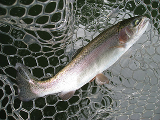 f0065341_13402453.jpg