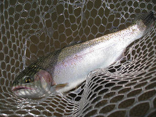 f0065341_1345297.jpg