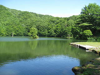 f0065341_13523162.jpg