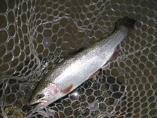 f0065341_13534464.jpg