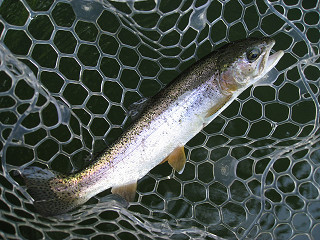 f0065341_13535799.jpg