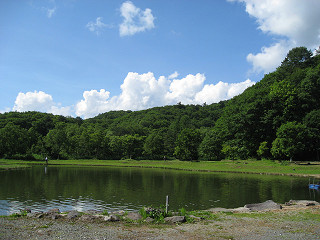 f0065341_13545912.jpg