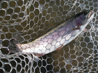 f0065341_13561690.jpg