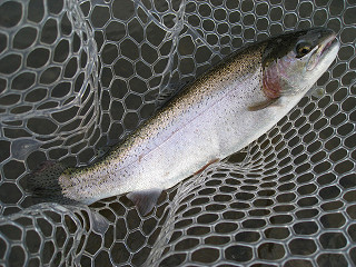 f0065341_13571578.jpg