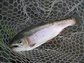 f0065341_13581032.jpg