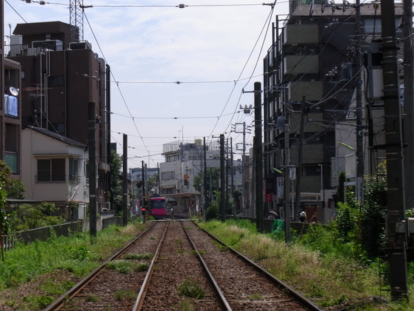 a0175545_1131728.jpg
