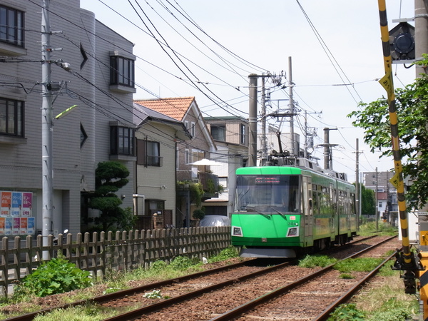 a0175545_1136571.jpg