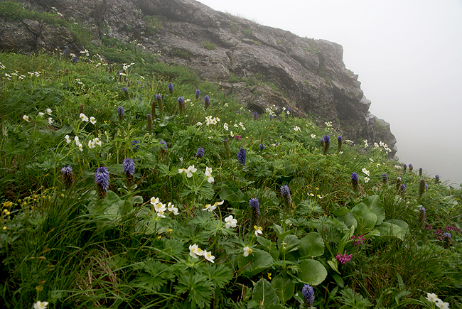 f0214649_20584032.jpg