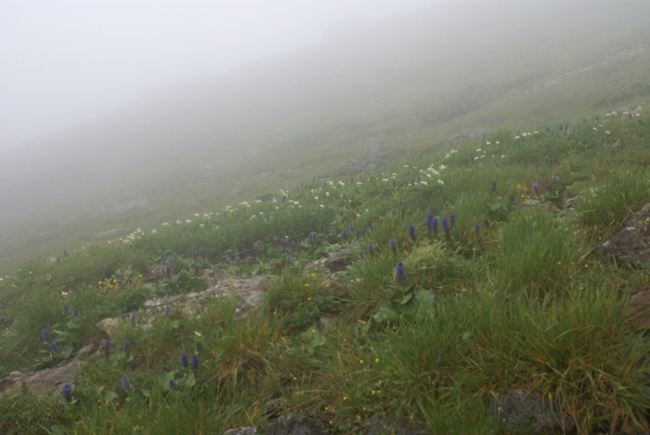 f0214649_2142544.jpg