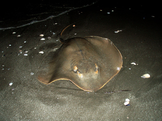 b0076950_1363640.jpg