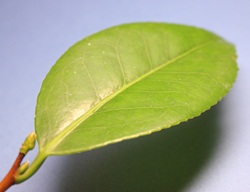 b0254058_6131656.jpg
