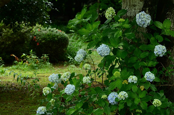 f0222161_14251567.jpg