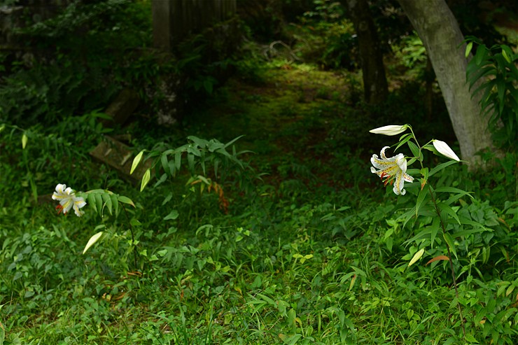 f0222161_14252337.jpg