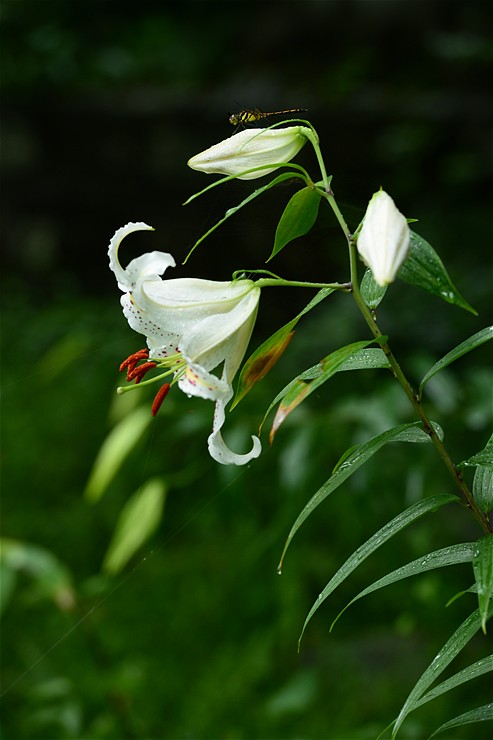 f0222161_1426090.jpg
