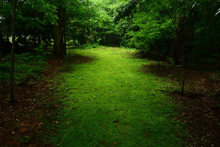 f0222161_1426469.jpg