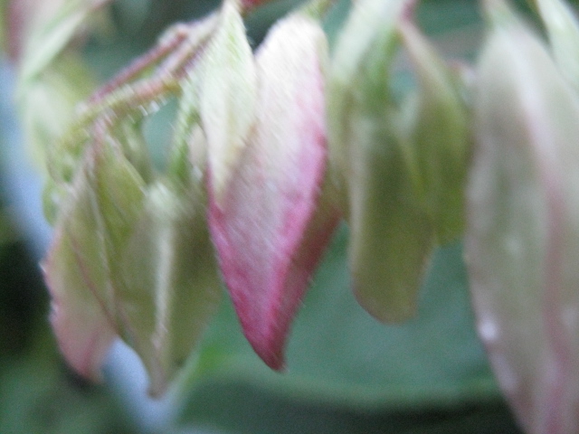 b0267163_22333813.jpg