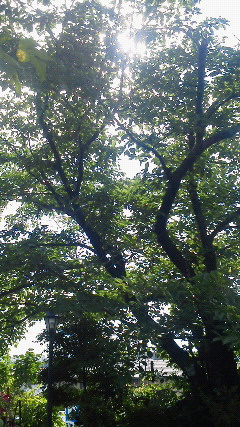 b0175571_10355620.jpg