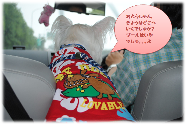 b0242873_0305529.png