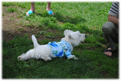 b0242873_111232.png