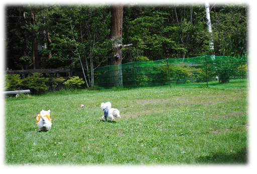 b0242873_151715.png